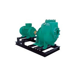 1I3428 - AUE 4 30-6 - WDM BOMBA AUTOCEBANTE COPLE FLEXIBLE MOTOR ELÉCTRICO & ITEM-007891