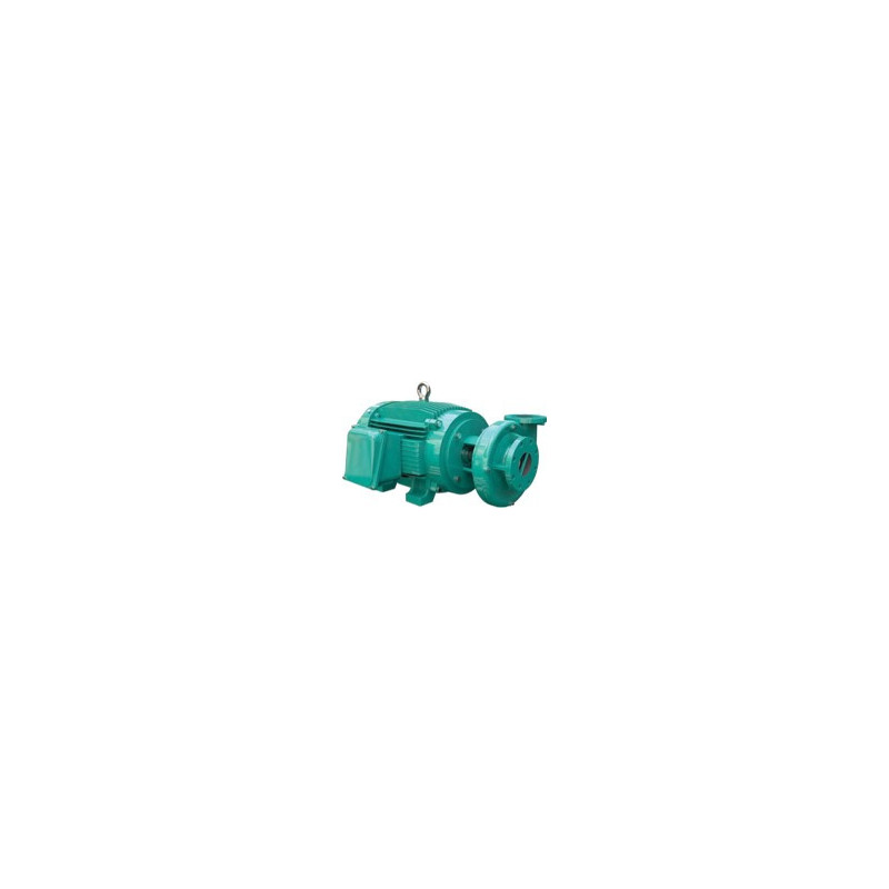 1B0092WM - GE 6E 600-4 - WDM BOMBA GS MATERIAL HIERRO MOTOR ELÉCTRICO A 1,800 RPM & ITEM-008108