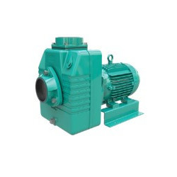 1D0506WM - AE 4 100 - WDM BOMBA AUTOCEBANTE MOTOR ELÉCTRICO & ITEM-007650