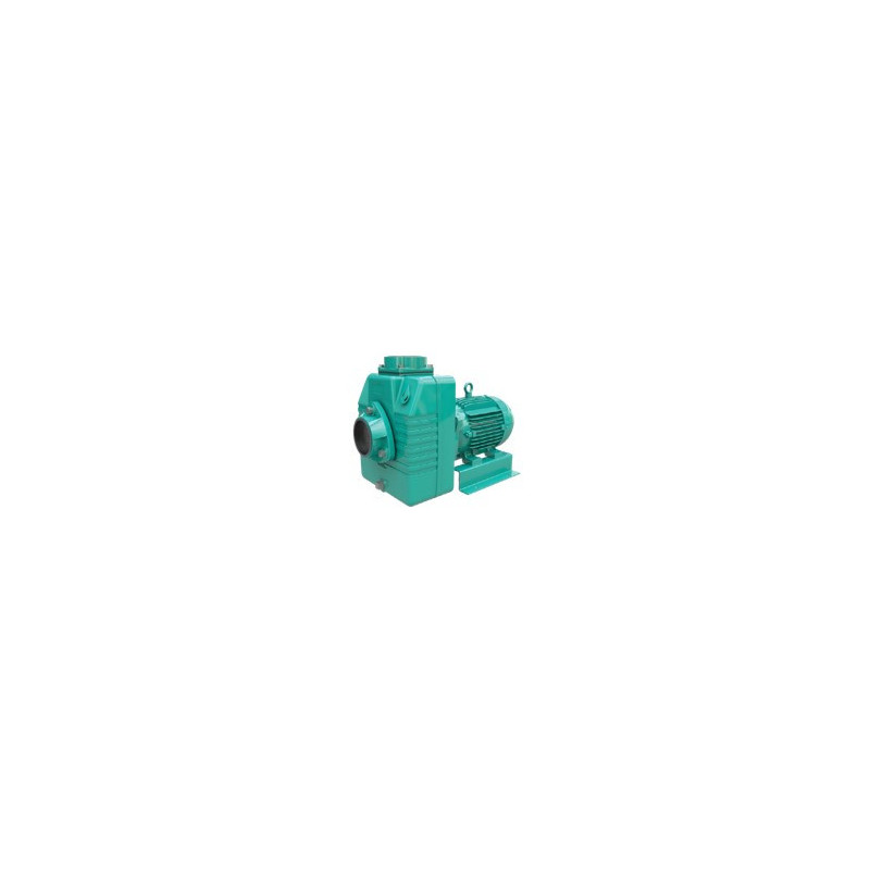 1D0507PWM - AE 4 150 - WDM BOMBA AUTOCEBANTE MOTOR ELÉCTRICO & ITEM-007686